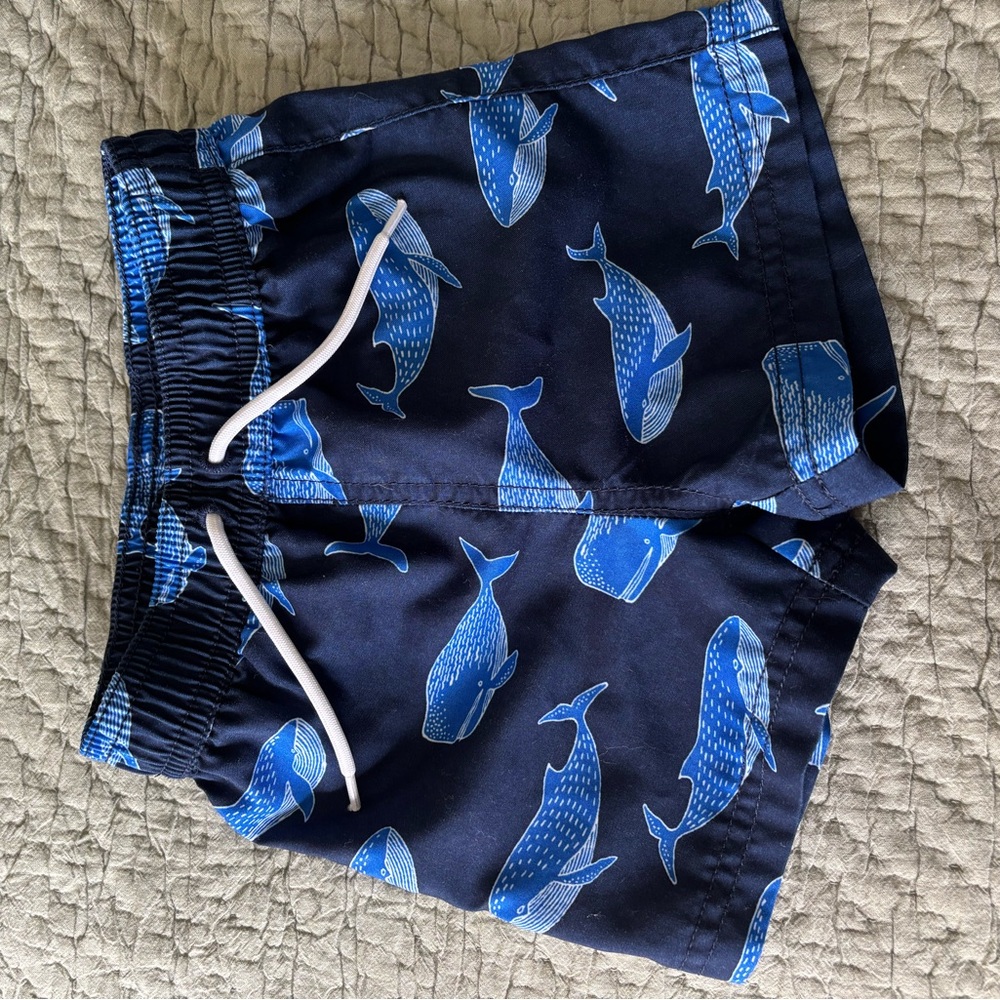 Janie and Jack Baby Boy Swim Trunks